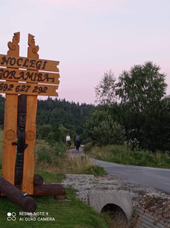 Domki ,,Goramiba" Jurgów Kültér fotó